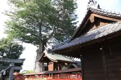 橘神社(埼玉県)