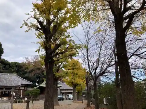 平塚神社(東京都)