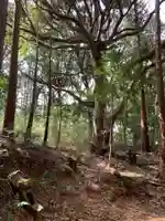 御太刀神社の自然