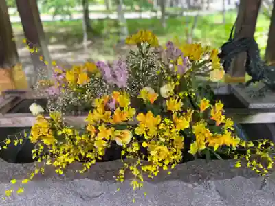彌彦神社　(伊夜日子神社)の手水舎