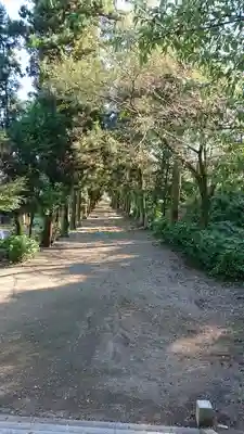 千代ケ岡八幡宮(栃木県)