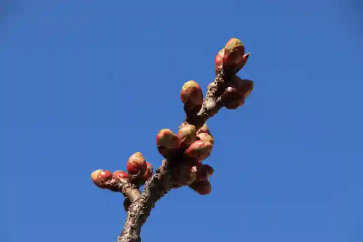 阿邪訶根神社の自然