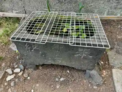 日枝神社(東京都)