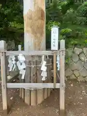 手長神社(長野県)