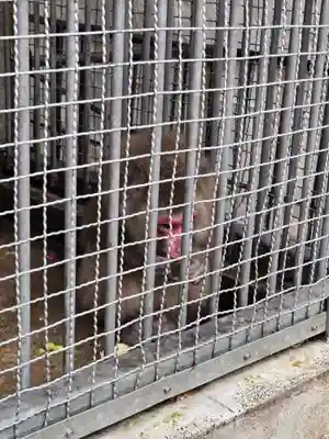 日吉大社(滋賀県)