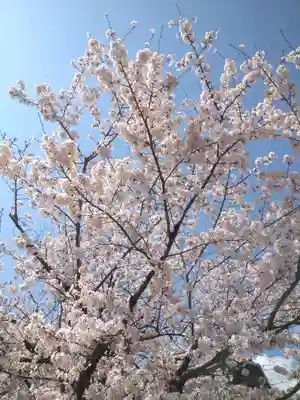 天御柱神社の周辺