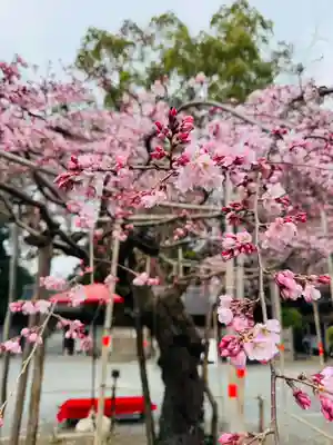 水無瀬神宮(大阪府)