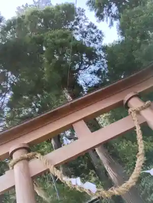 八幡神社の{uncategorized: "未分類", other: "その他", undefined: "問題あり", building: "その他建物", grave: "お墓", sacred_gate: "鳥居", guardian: "狛犬", statue: "像", buddha: "仏像", history: "歴史", nature: "自然", garden: "庭園", animal: "動物", pagoda: "塔", temizu: "手水舎", mountain_gate: "山門・神門", sanctuary: "本殿・本堂", subordinate: "末社・摂社", art: "芸術", scenery: "景色", jizo: "地蔵", ema: "絵馬", goshuin: "御朱印", omikuji: "おみくじ", items: "授与品その他", amulet: "お守り", goshuincho: "御朱印帳", eats: "食事", festival: "お祭り", votive_dance: "神楽", shichigosan: "七五三参", wedding: "結婚式", experience: "体験その他", initially: "初詣", around: "周辺", anti_infection: "感染症対策"}