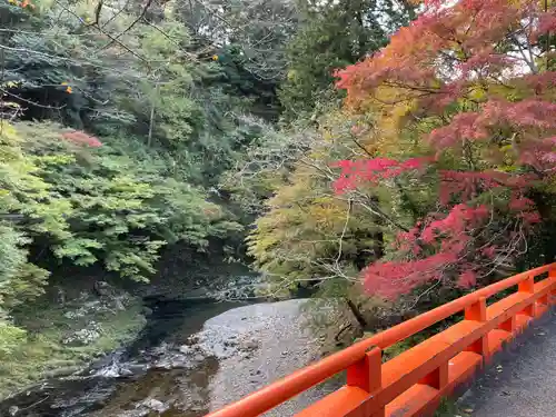 西明寺(京都府)