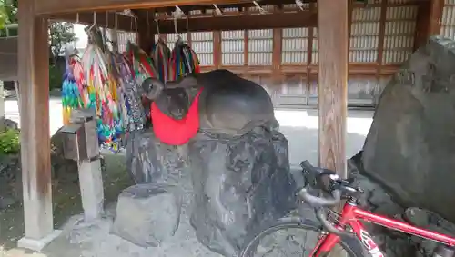 牛嶋神社の狛犬