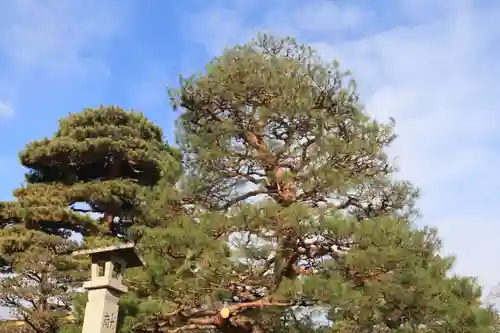 開成山大神宮の庭園