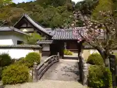 金剛寺(大阪府)