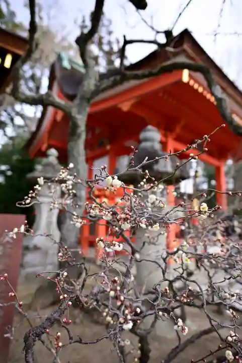 北野天満宮の自然