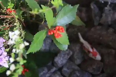 滑川神社 - 仕事と子どもの守り神の手水舎