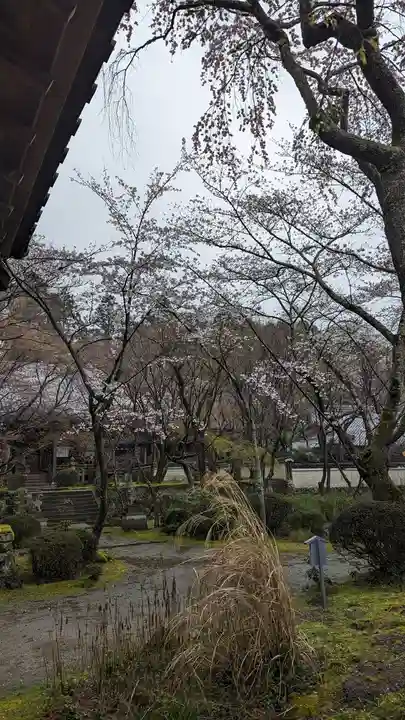 勝持寺(花の寺)(京都府)