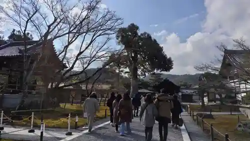 鹿苑寺（金閣寺）(京都府)