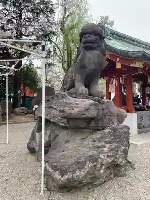 浅草神社の狛犬