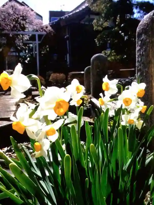 長善寺(東京都)