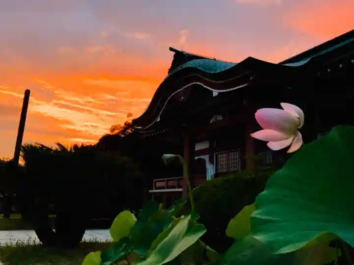 大雄院の本殿・本堂
