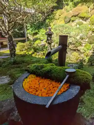 柳谷観音　楊谷寺(京都府)