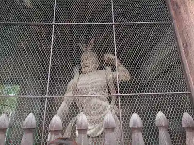 圓鏡寺(岐阜県)
