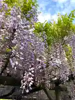 亀戸天神社(東京都)