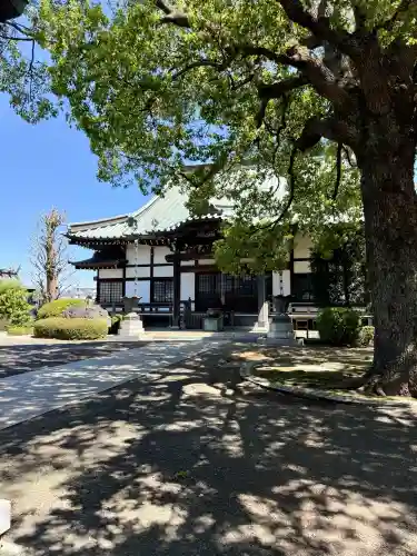 泉龍寺(神奈川県)