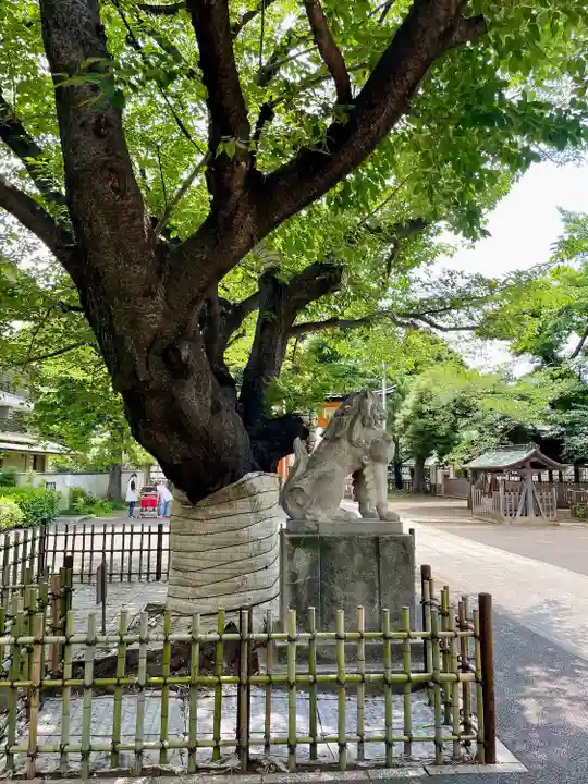 旗岡八幡神社(東京都)