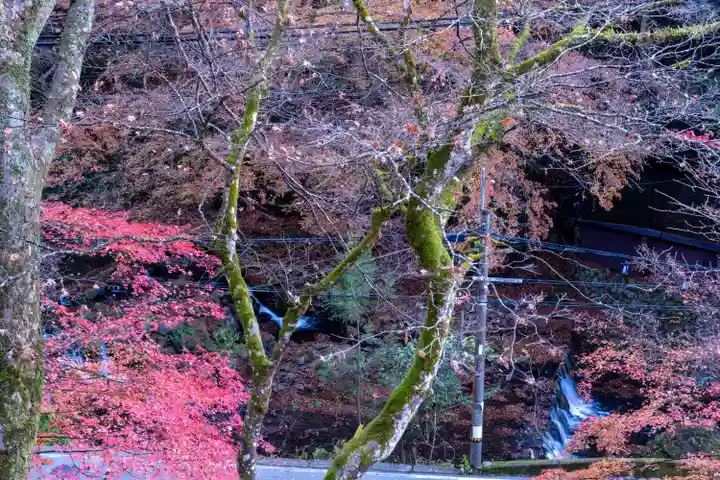 貴船神社(京都府)