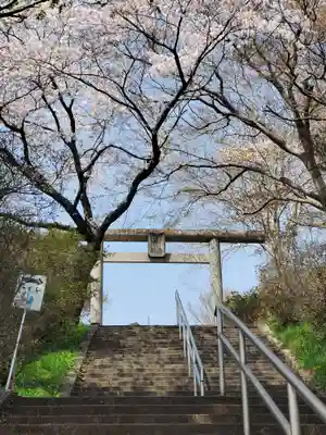 錦着山護国神社の鳥居
