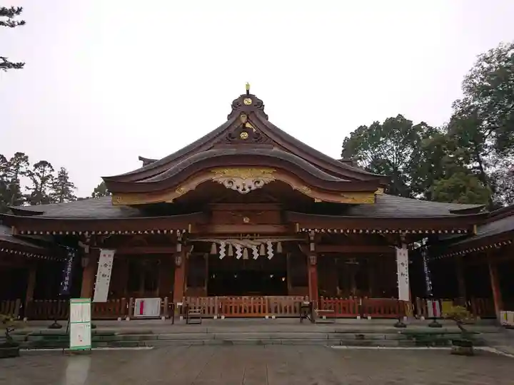 亀ケ池八幡宮の本殿・本堂