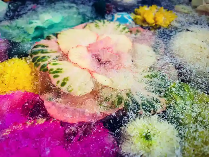 滑川神社 - 仕事と子どもの守り神の手水舎