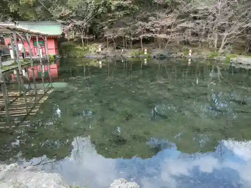 富士山本宮浅間大社(静岡県)