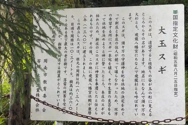 飛龍八幡宮(山口県)