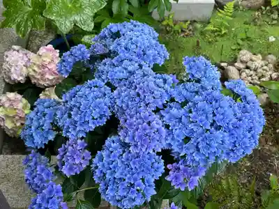 源光庵(京都府)