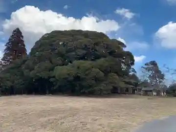 熊野神社(千葉県)