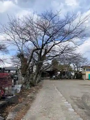 浄泉寺のその他建物