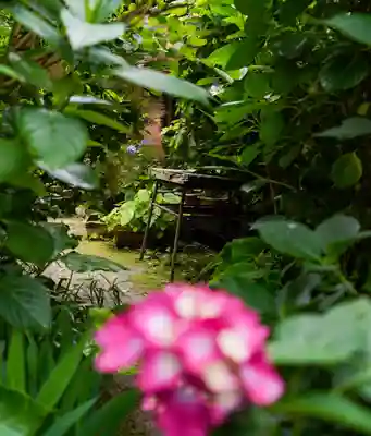 東大寺別院阿弥陀寺(山口県)