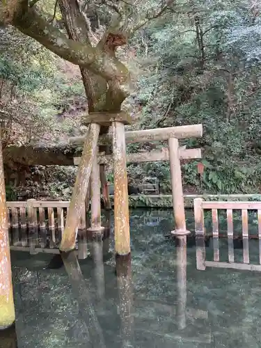 鹿島神宮(茨城県)