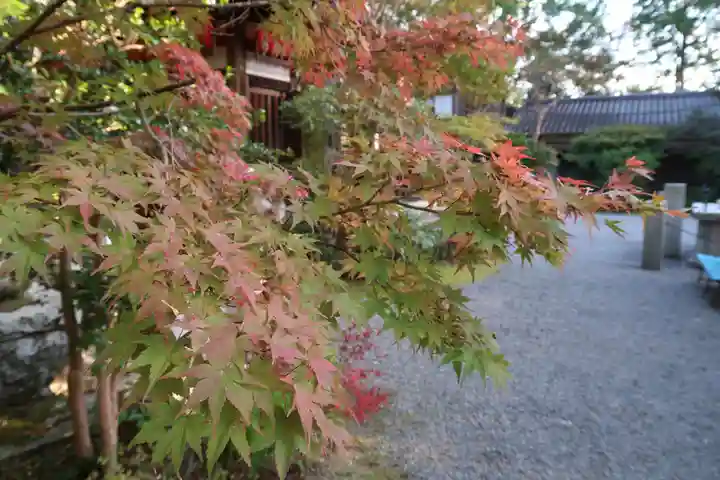 赤山禅院の自然