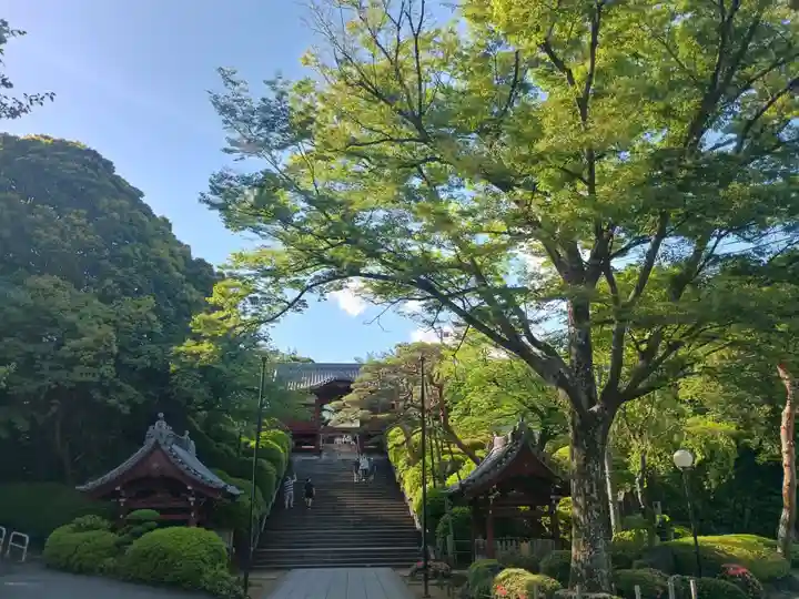 護国寺(東京都)