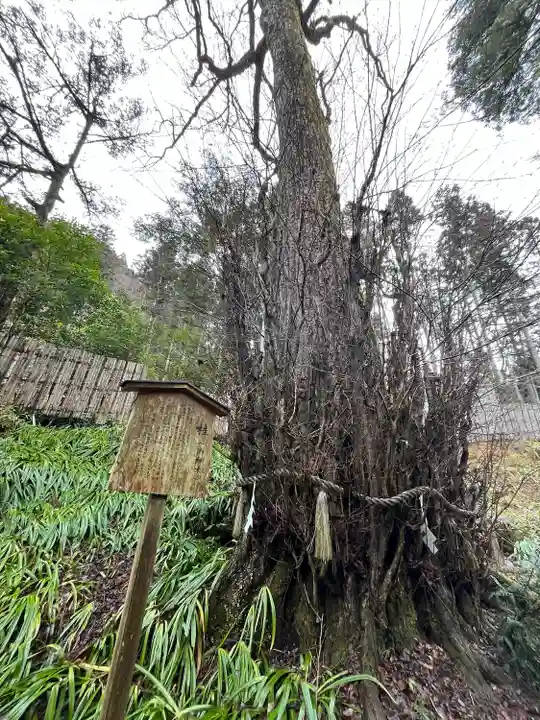 貴船神社結社(京都府)