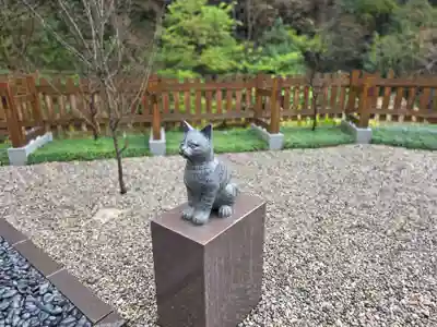 猫神社(鹿児島県)