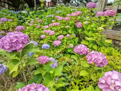 六孫王神社(京都府)
