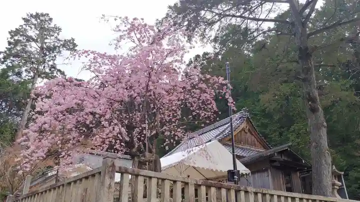平岡八幡宮の自然
