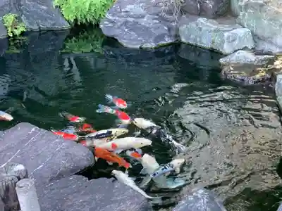 甚行寺(神奈川県)