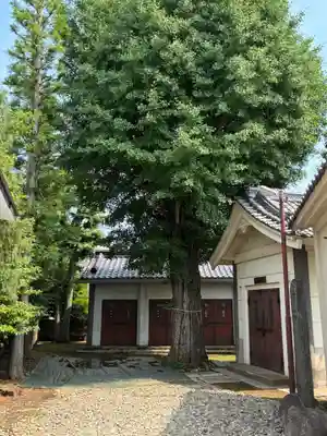 池袋氷川神社(東京都)