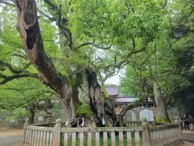 大山祇神社(愛媛県)