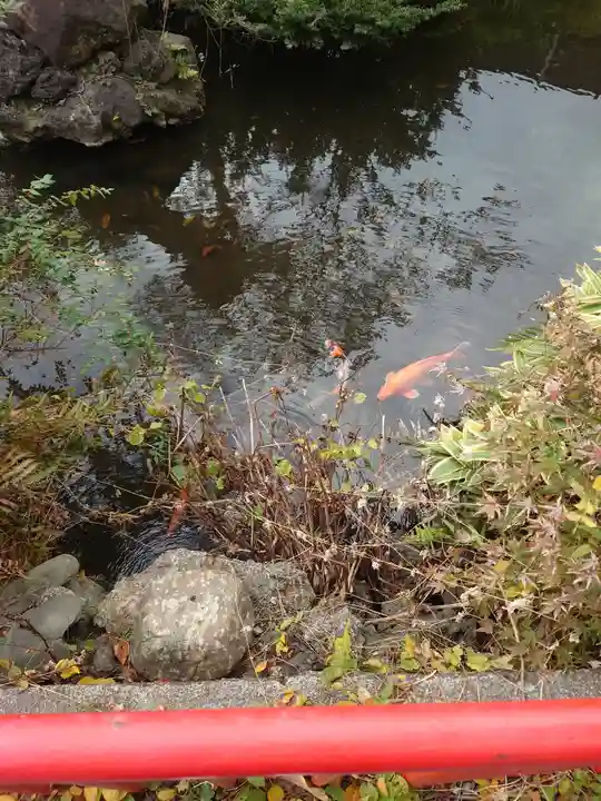 心岩寺(神奈川県)