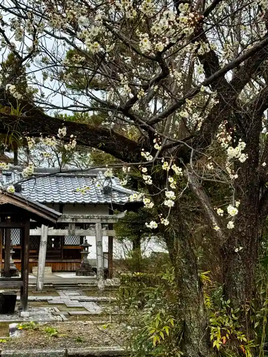光源院(京都府)